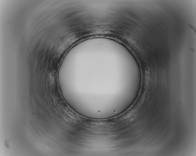 X0000100781257200807101807