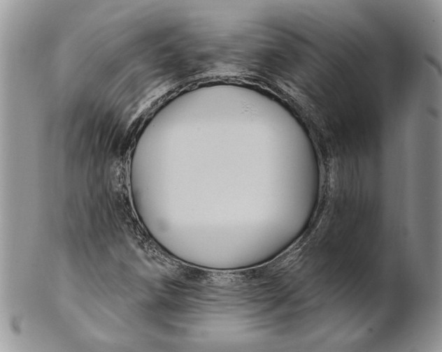 X0000100781258200807101807