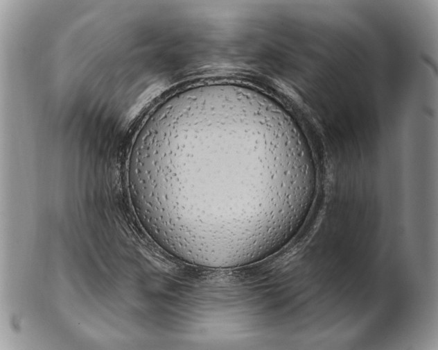 X0000100781259200807101807