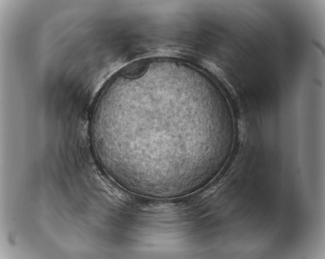 X0000100781260200807101807