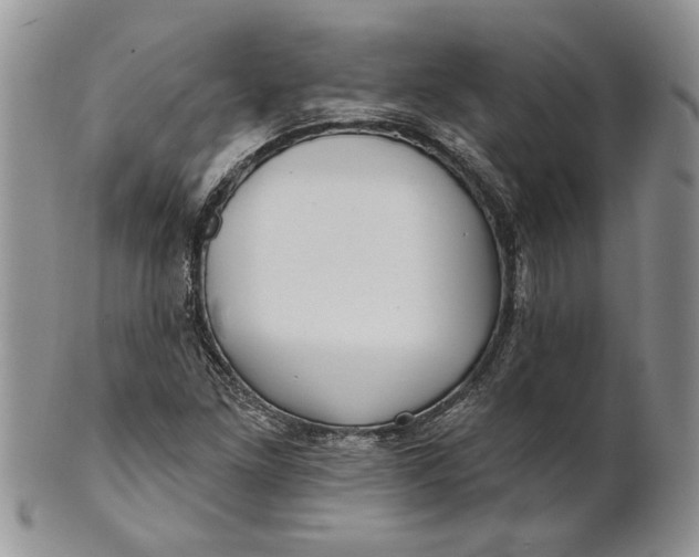 X0000100781261200807101807