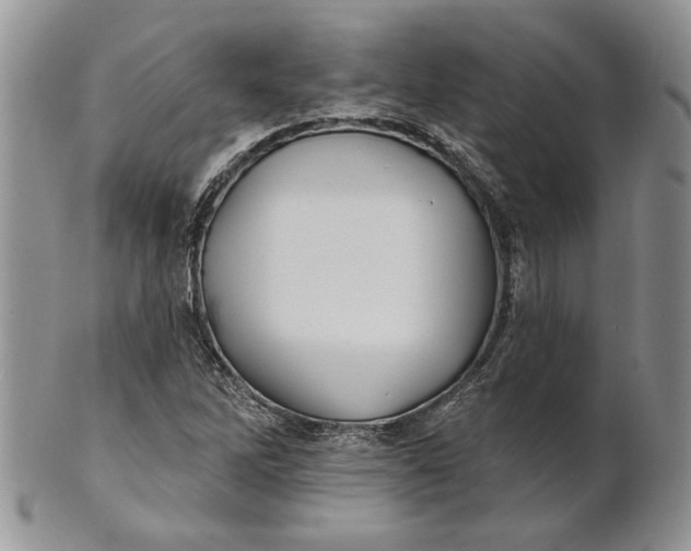 X0000100781262200807101807