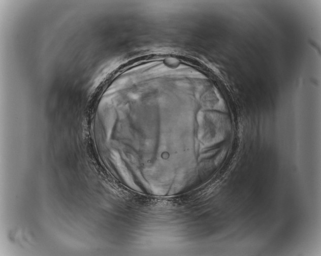 X0000100781263200807101807