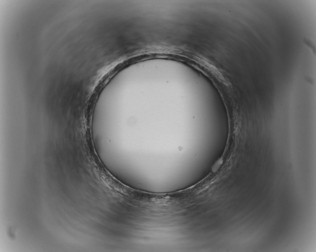 X0000100781264200807101807