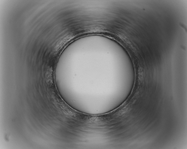 X0000100781265200807101807