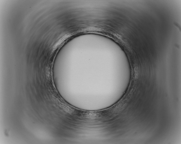 X0000100781266200807101807