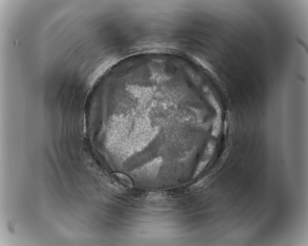 X0000100781267200807101807