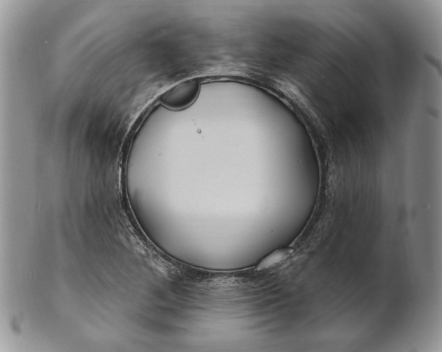 X0000100781268200807101807