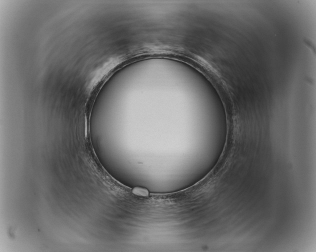 X0000100781269200807101807