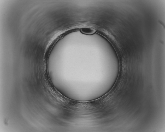 X0000100781270200807101807