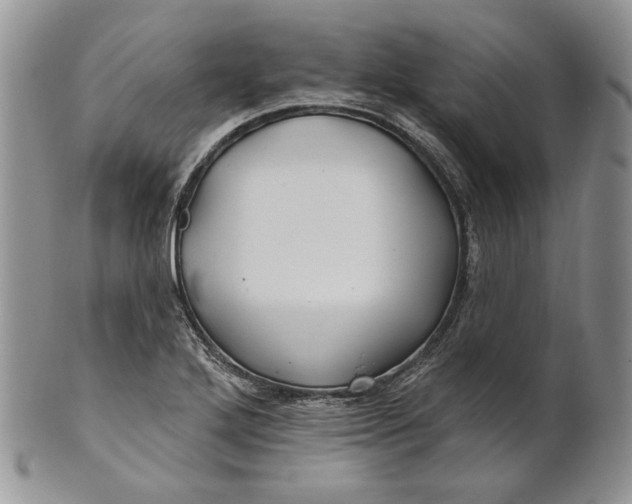 X0000100781272200807101807