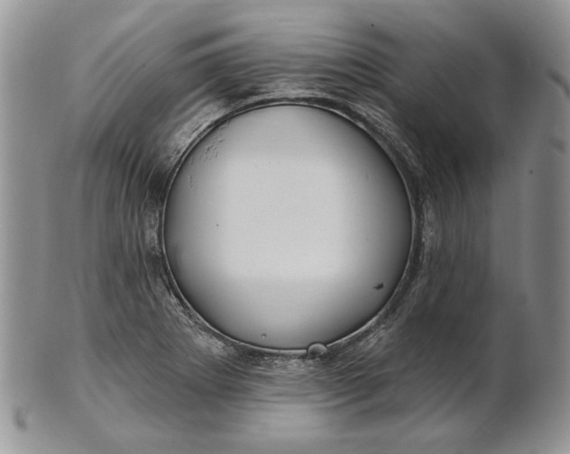 X0000100781273200807101807