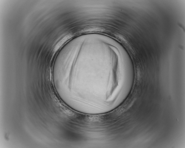 X0000100781274200807101807