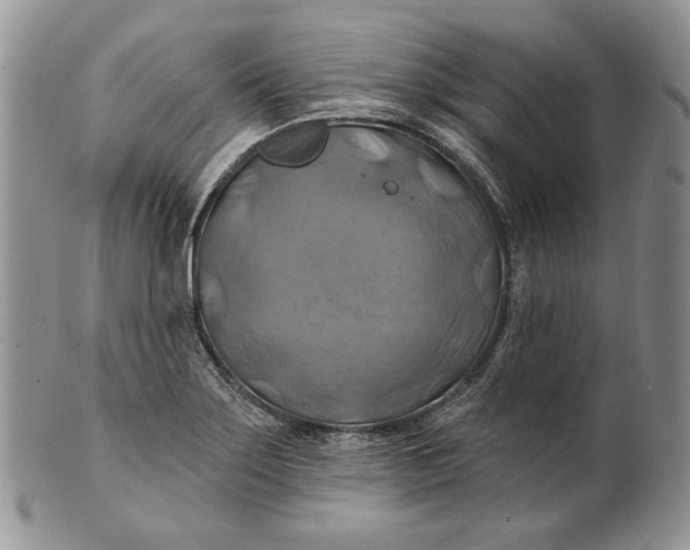 X0000100781275200807101807