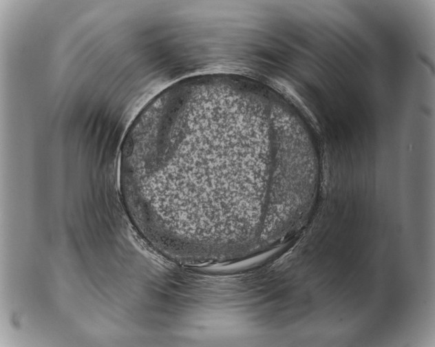 X0000100781276200807101807