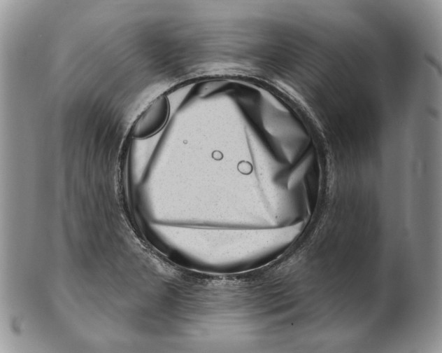 X0000100781277200807101807