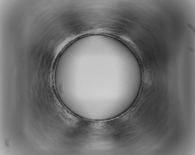 X0000100781278200807101807