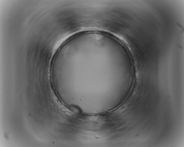 X0000100781279200807101807