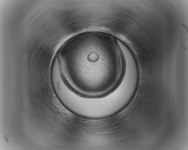 X0000100781280200807101807