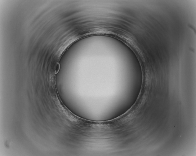 X0000100781281200807101807