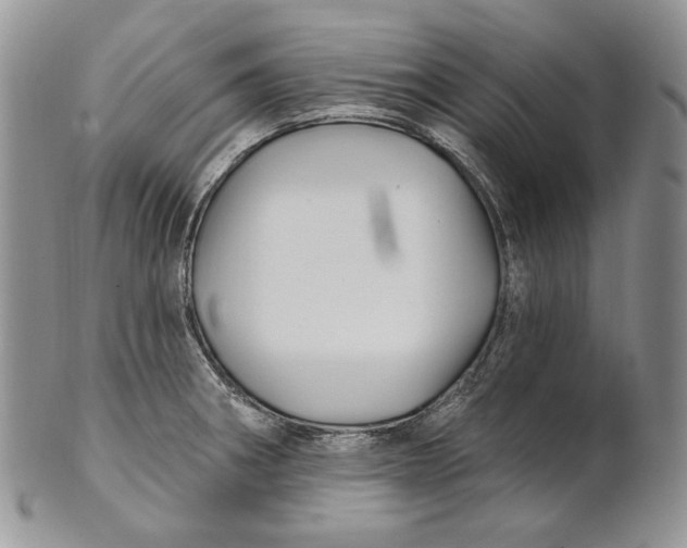 X0000100781282200807101807