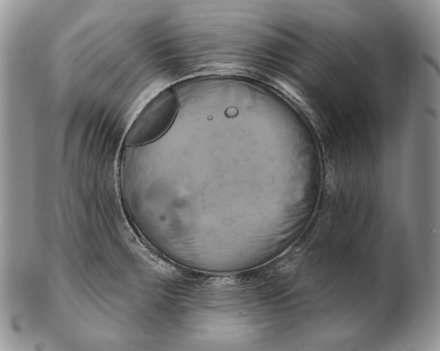 X0000100781283200807101807