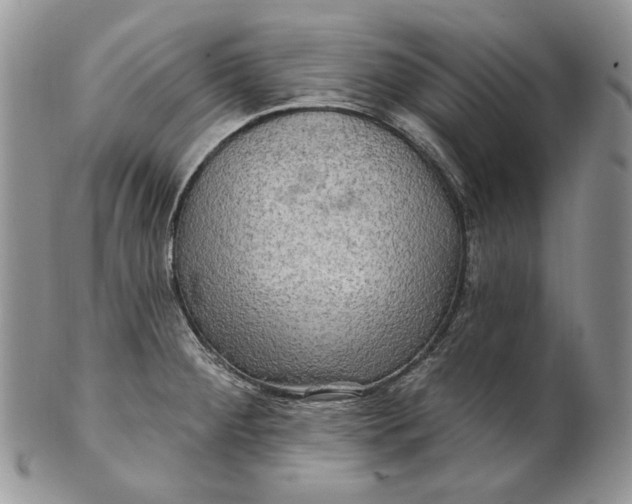 X0000100781284200807101807