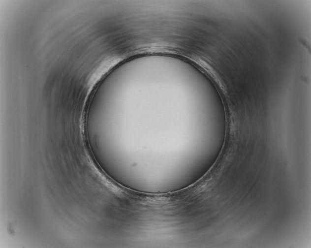 X0000100781285200807101807