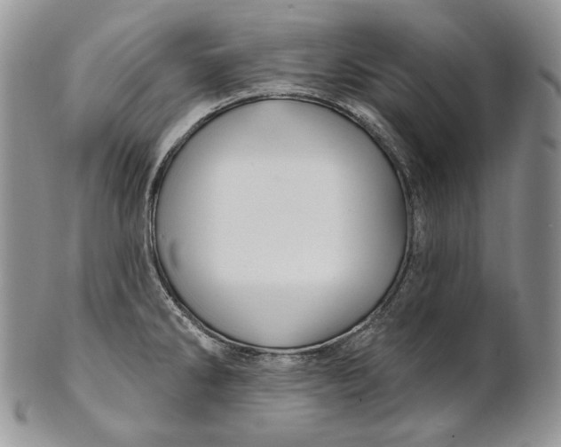 X0000100781286200807101807