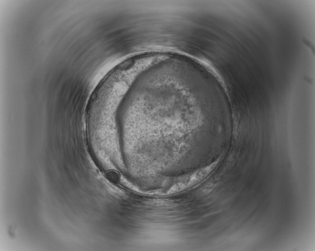 X0000100781287200807101807