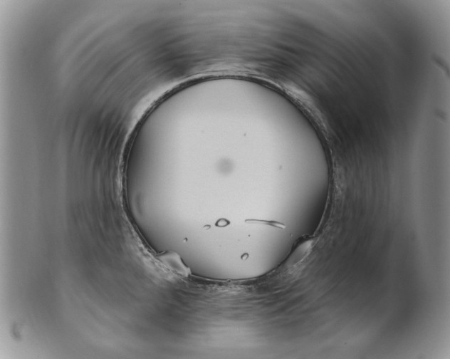 X0000100781288200807101807