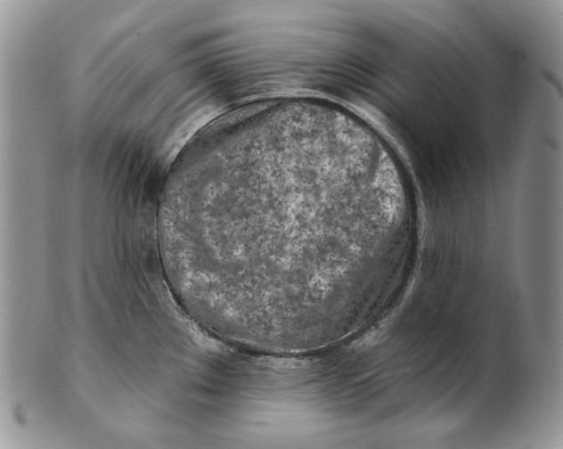 X0000100781289200807101807