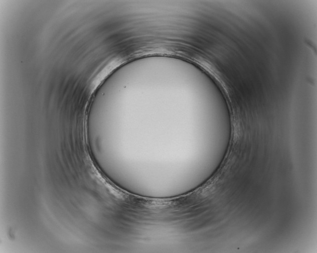 X0000100781290200807101807