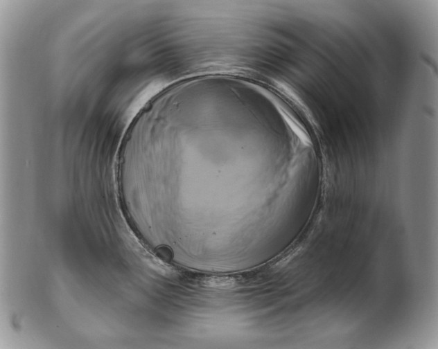 X0000100781291200807101807