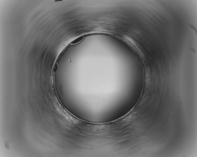 X0000100781292200807101807