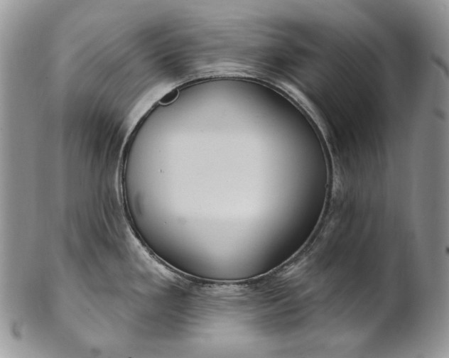 X0000100781293200807101807