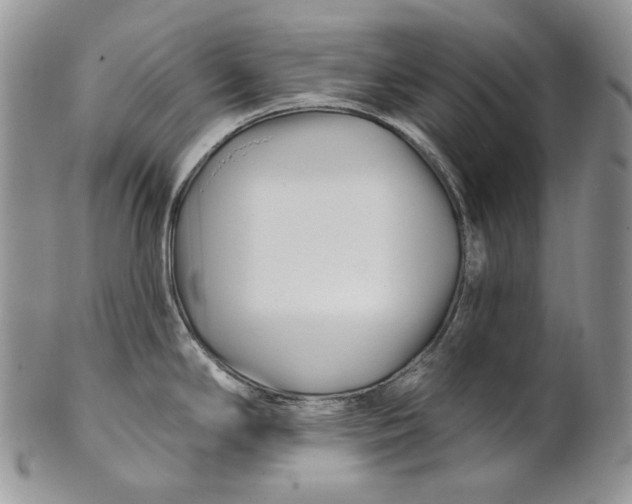 X0000100781294200807101807