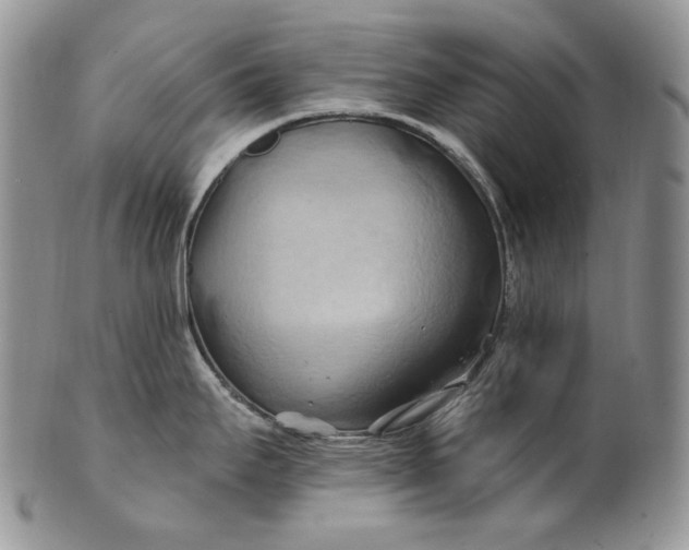 X0000100781295200807101807