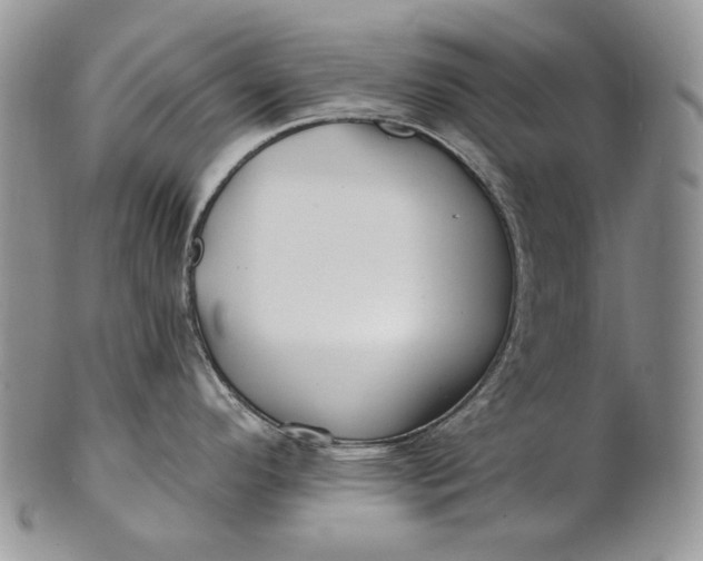 X0000100781296200807101807