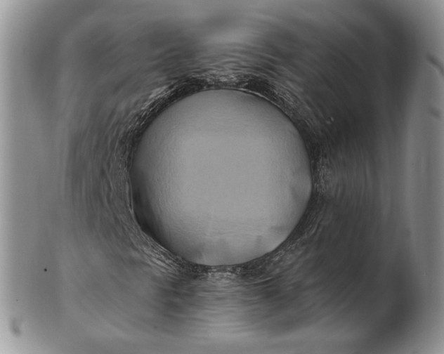 X0000100781297200807101806