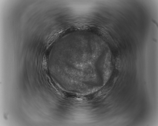 X0000100781298200807101806