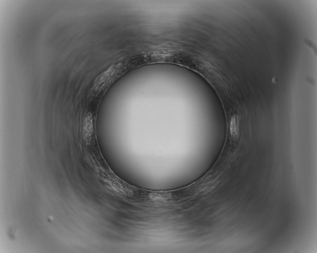 X0000100781299200807101806