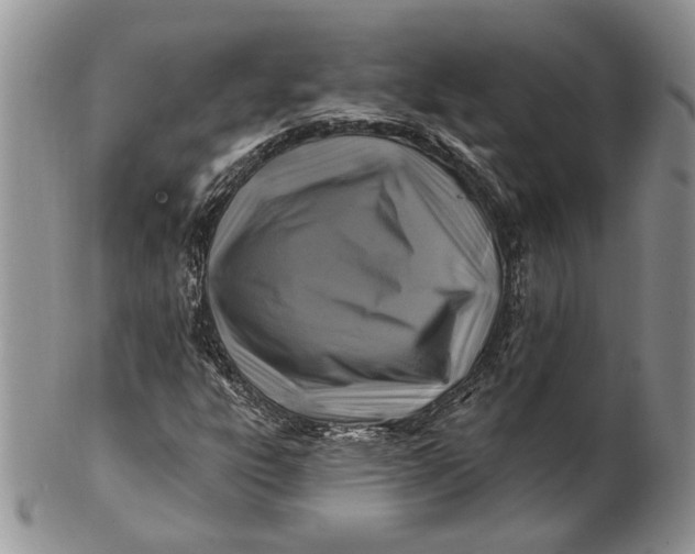 X0000100781303200807101806