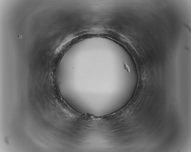 X0000100781304200807101806