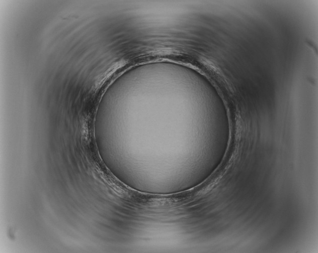 X0000100781305200807101806