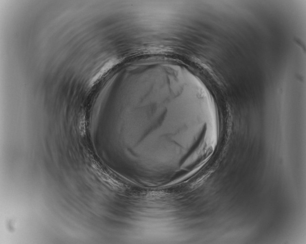 X0000100781306200807101806