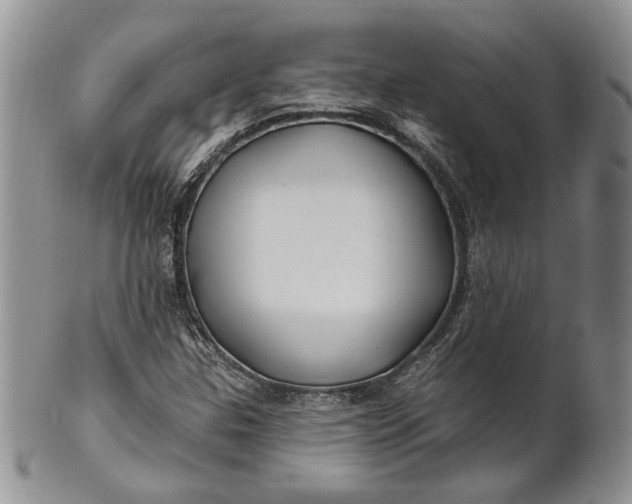 X0000100781307200807101806