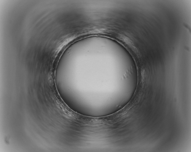 X0000100781308200807101806