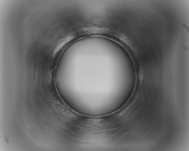 X0000100781309200807101806