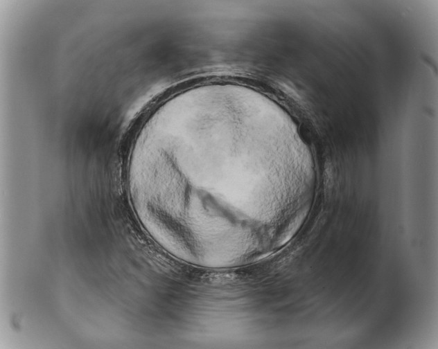 X0000100781310200807101806